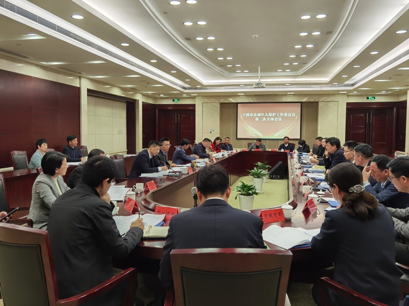 3.宁波市未成年人保护工作委员会召开第二次全体会议.jpg