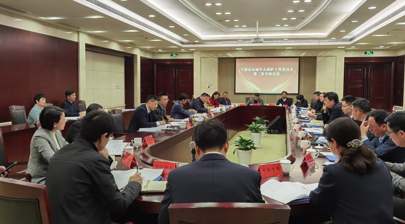 宁波市未成年人保护工作委员会召开第二次全体会议